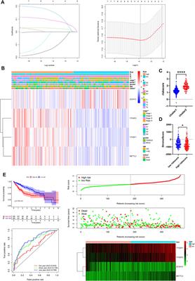 An m6A-Related Prognostic Biomarker Associated With the Hepatocellular Carcinoma Immune Microenvironment